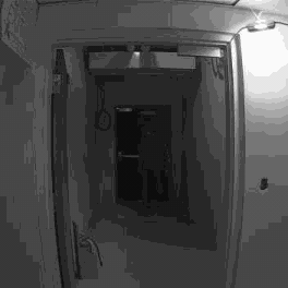 Ajax photo verification: an empty interior doorway lit by the sensor's infrared at night