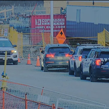 Police vehicles at a hoarded site entrance
